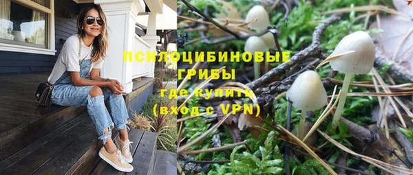 соль ск Алексеевка