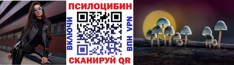 Псилоцибиновые грибы Cubensis Пролетарск